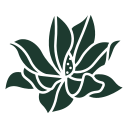 magnolia (4)