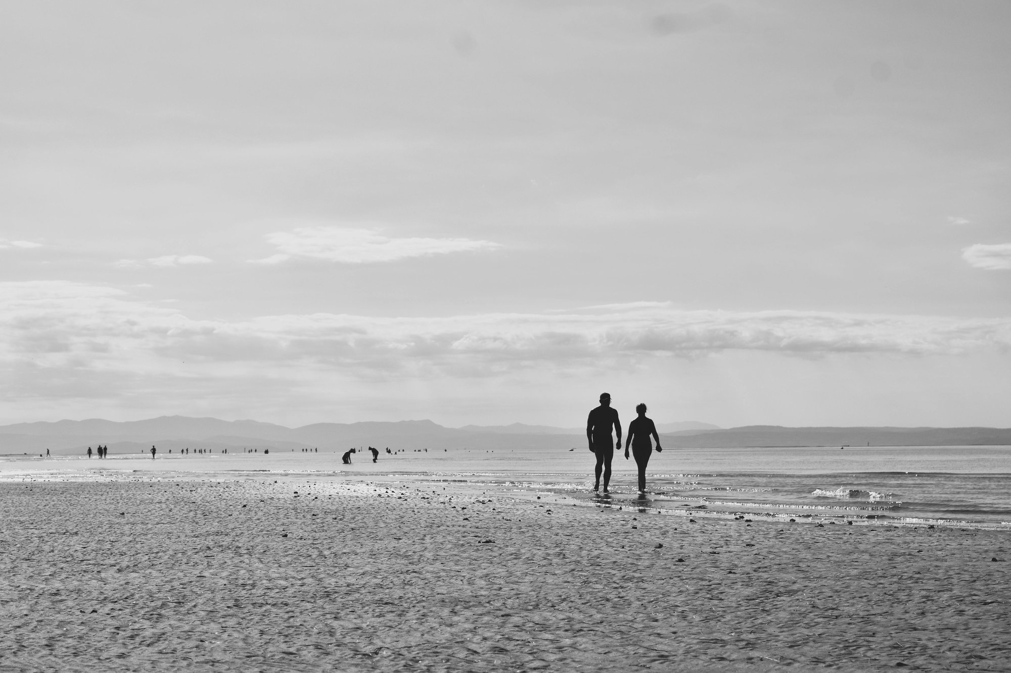 pexels-barbara-rubele-1047838369-33022972