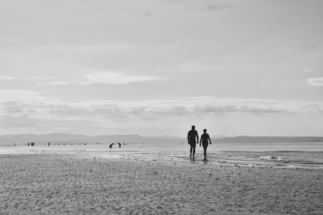 pexels-barbara-rubele-1047838369-33022972